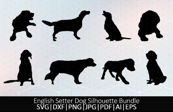 English Setter Dog: A Designer's Honest Review